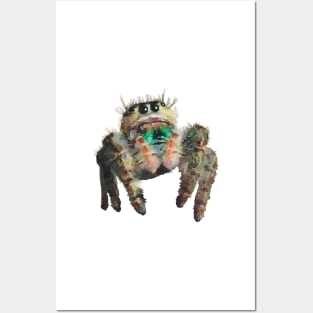 Furry Jumping Spider Posters and Art